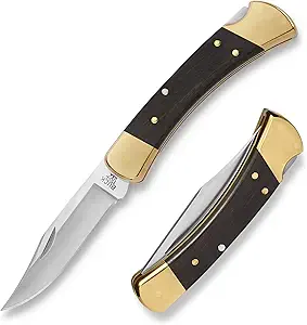 Buck 110 Folding Hunter