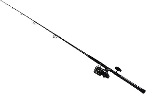 Daiwa BG Spinning Combo